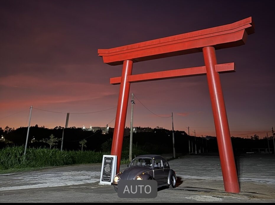 Volkswagen Fusca Itamar 1994/1995