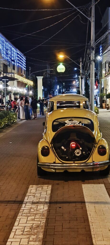 Volkswagen Fusca 1500 1979