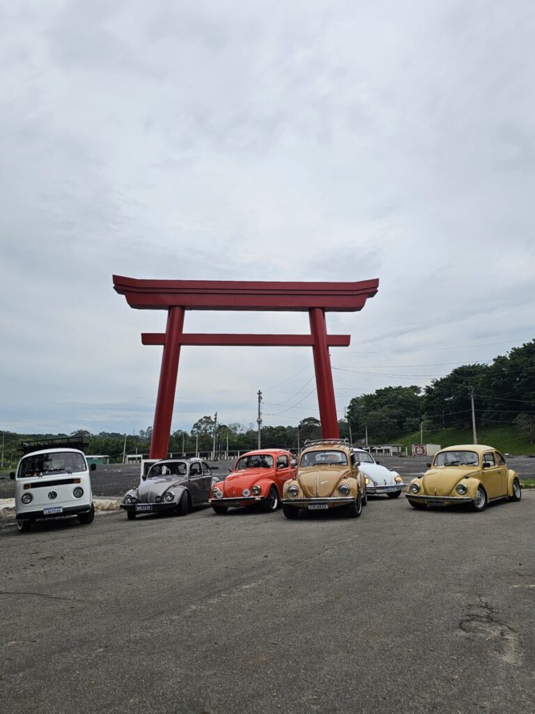Volkswagen Fusca 1500 1979