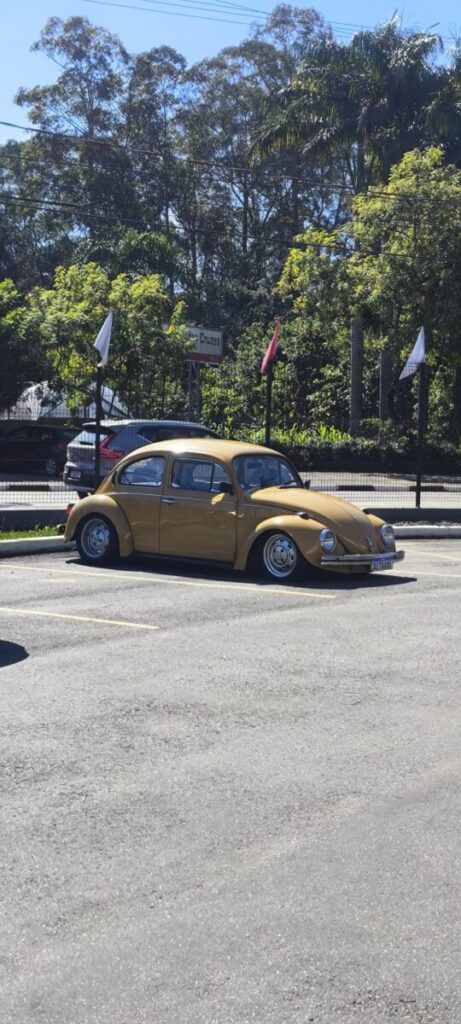 Volkswagen Fusca 1500 1979